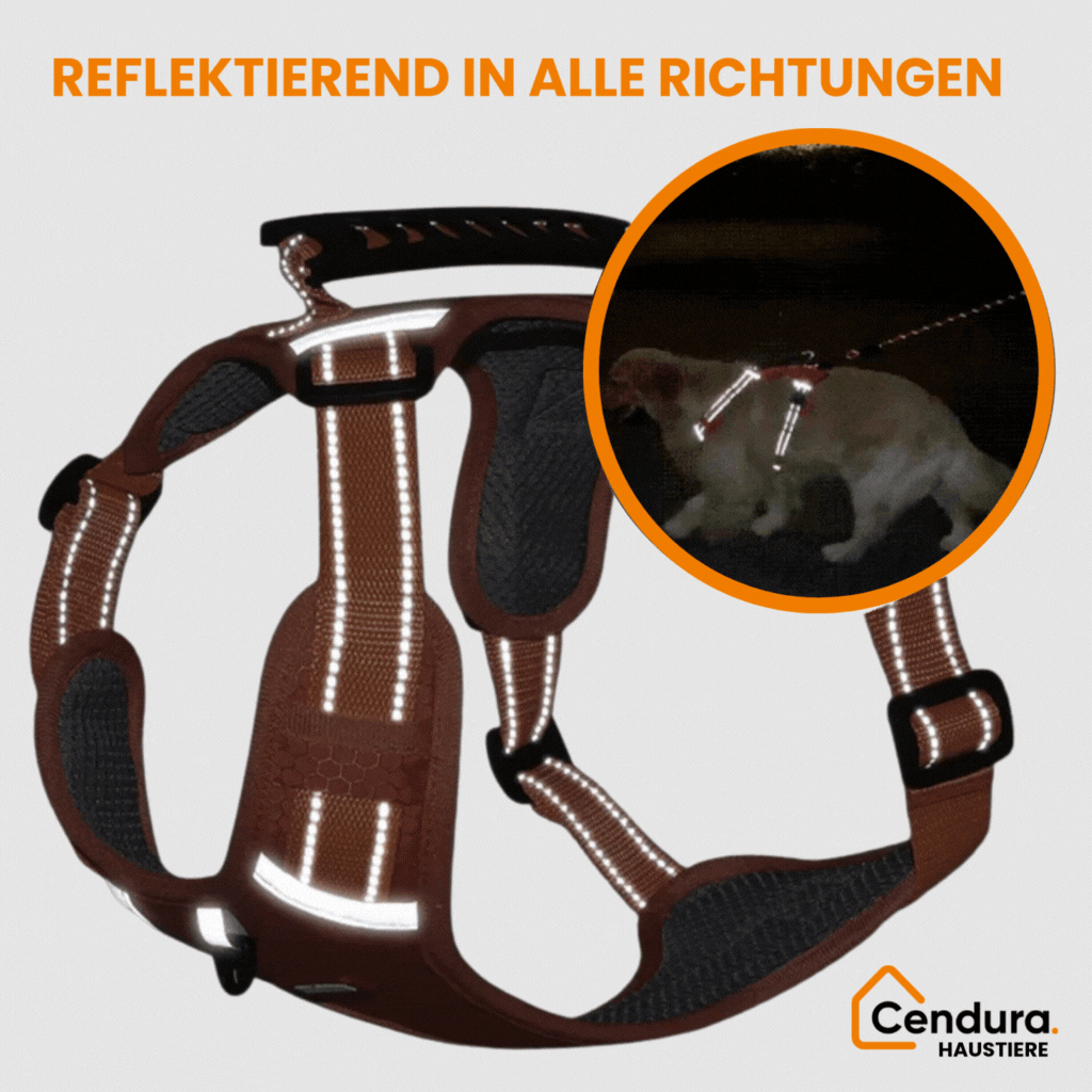 HappyHund Safety Harness Reflective |