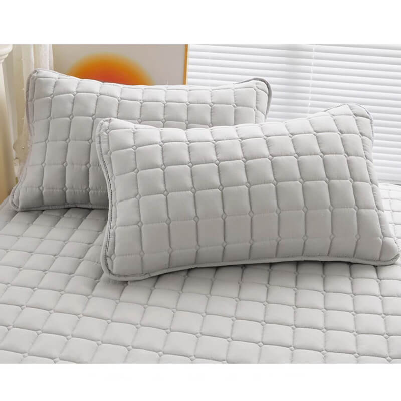 Comfort Encapsulated Waterproof Mattress Protector
