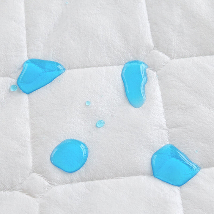 Comfort Encapsulated Waterproof Mattress Protector