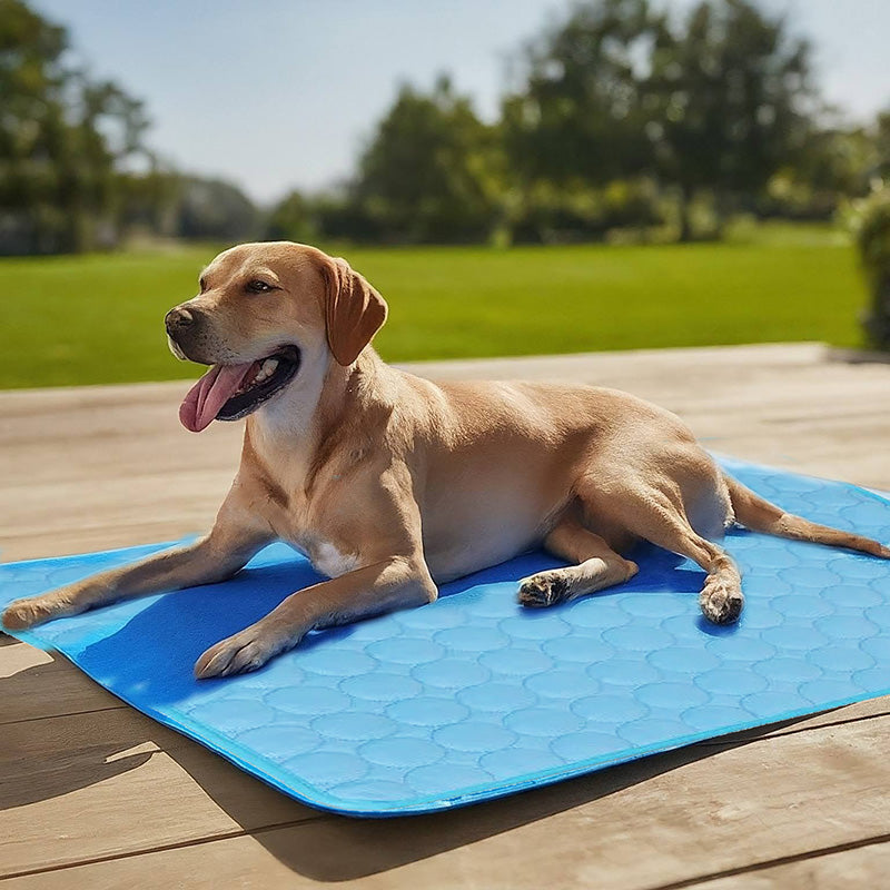 Self-Cooling Mat for Quadrupeds Perfect for Hot Summer
