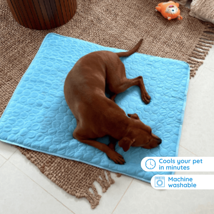 Self-Cooling Mat for Quadrupeds Perfect for Hot Summer
