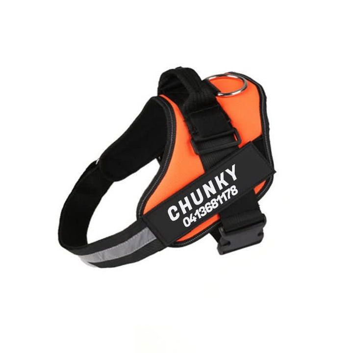 Safety Dog Harness with Name Tag &amp; Reflectors