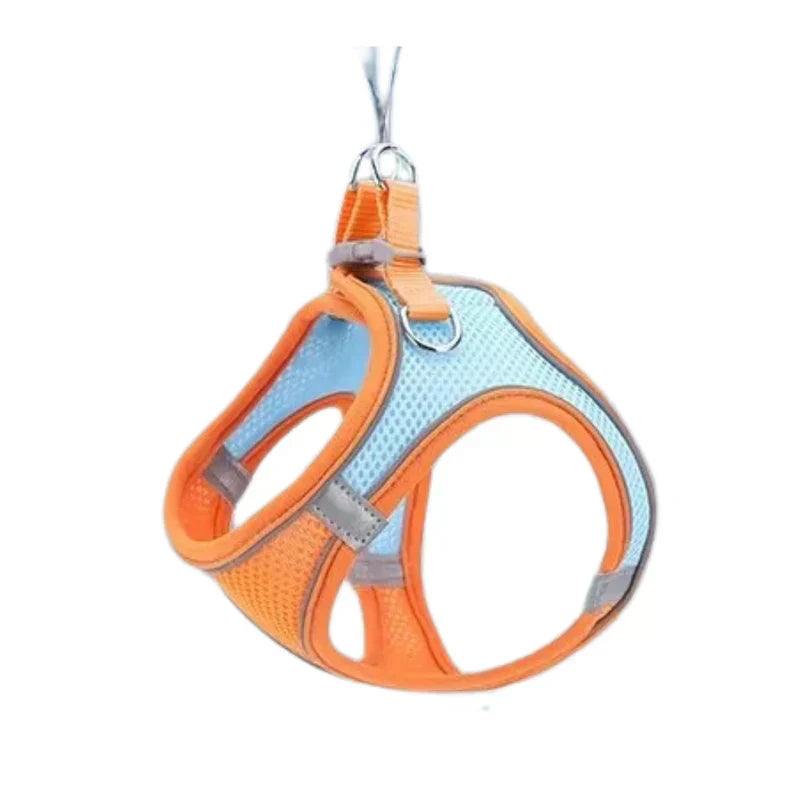 Adventurous Cat Harness with Leash – Adjustable and Reflective |