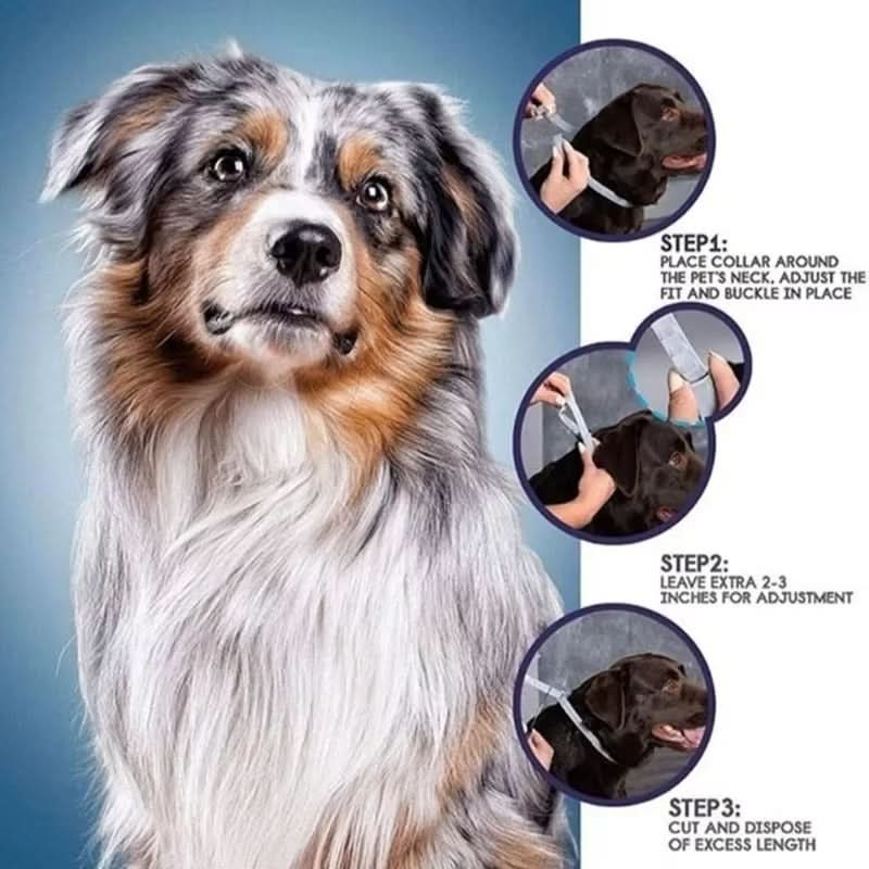 PAWTECT - Anti-tick and flea collar
