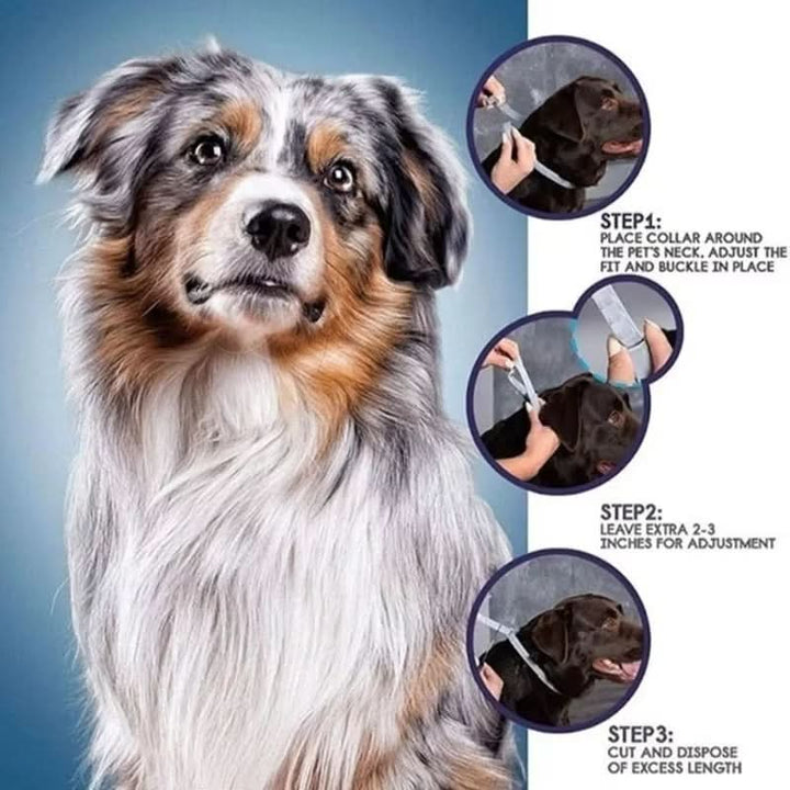 PAWTECT - Anti-tick and flea collar