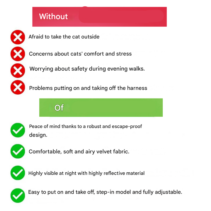 Adventurous Cat Harness with Leash – Adjustable and Reflective |