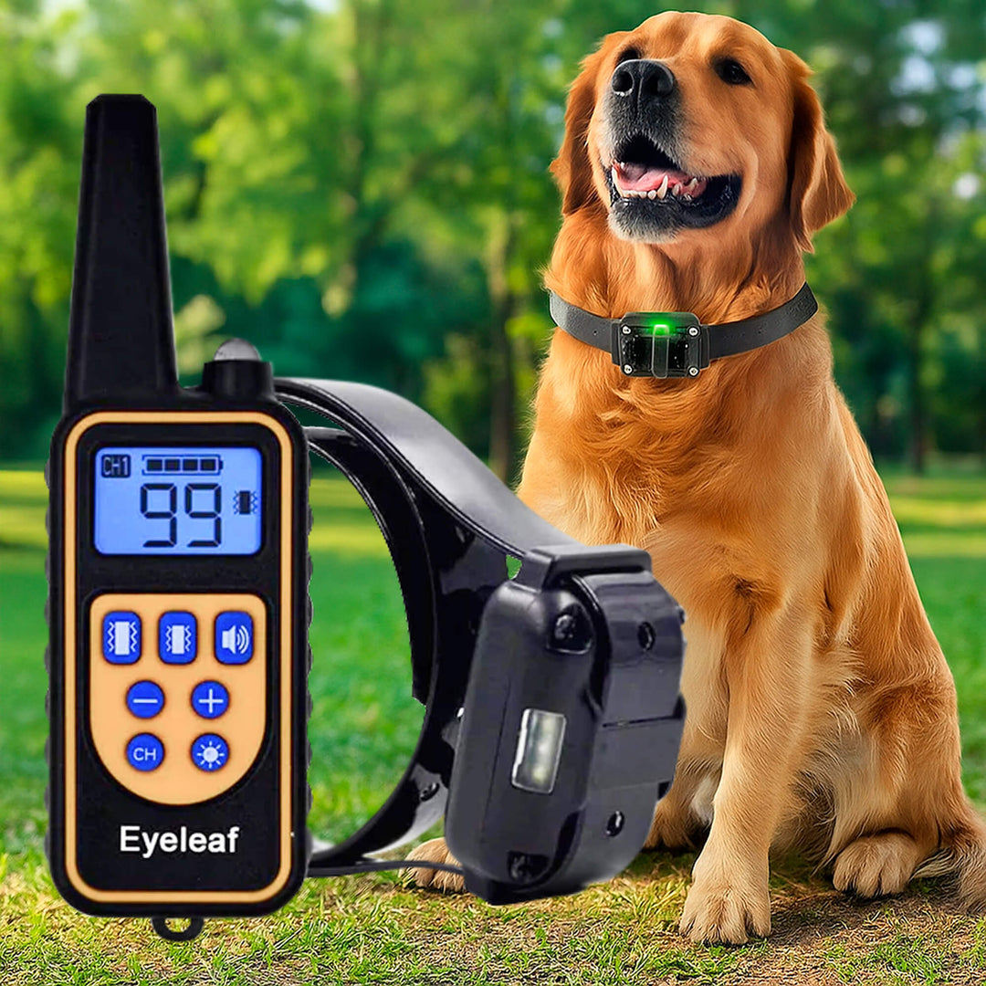 800M Rechargeable Electric Dog Training Collar | Waterproof, Remote Control &amp; Ideal for Effective Dog Training