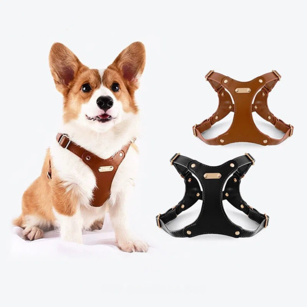 Adjustable Leather Dog Harness with Custom Engraving