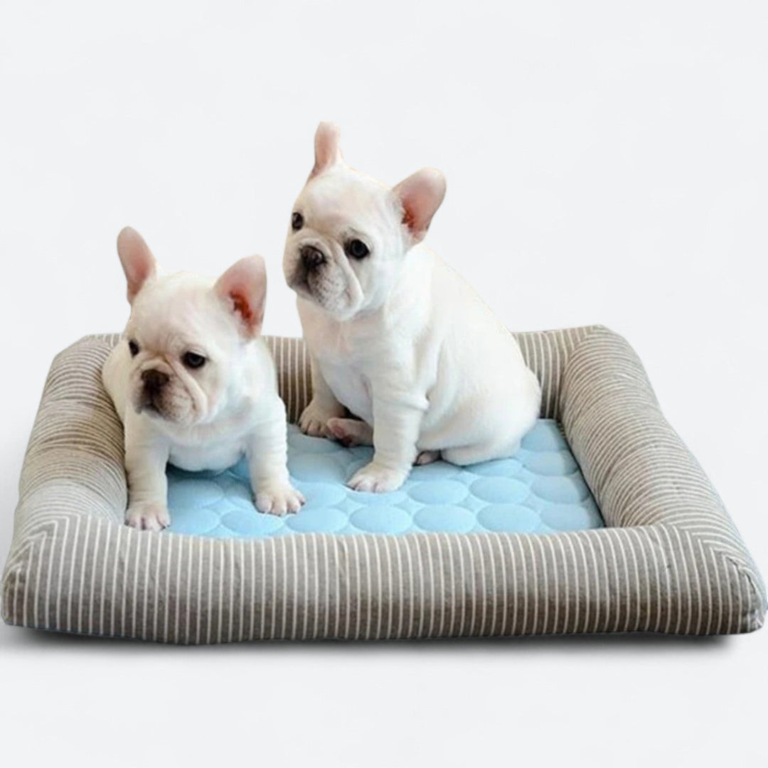 FurChill Frenchie Breathable Dog Bed – Cooling Mat with Non-Slip Base for Hot Days |