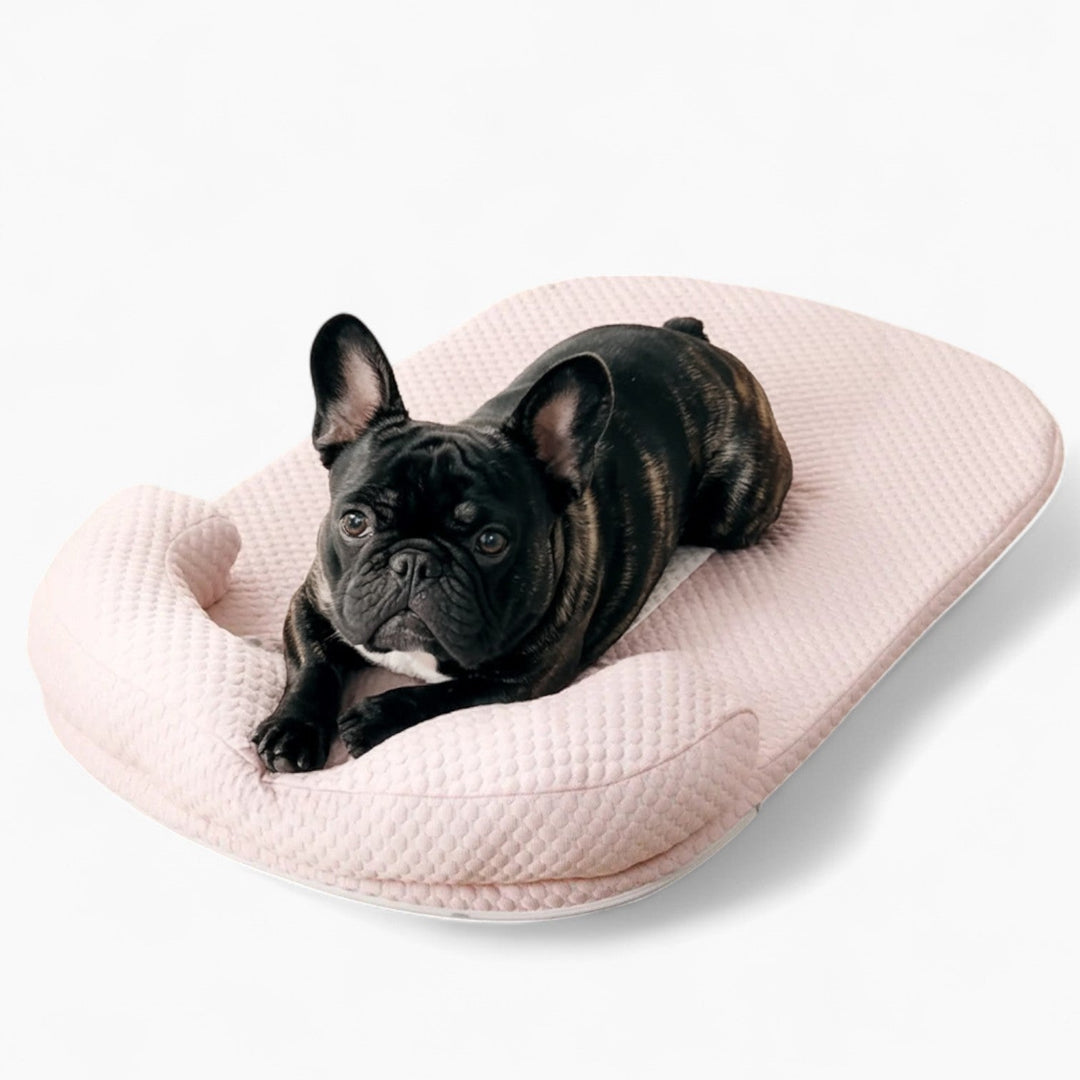 FurCool French Bulldog Cooling Mat – Breathable Washable Summer Silk Bed |