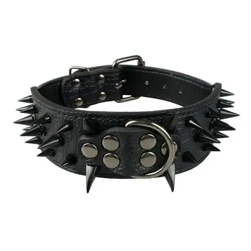 Dog collar with studs for large dogs