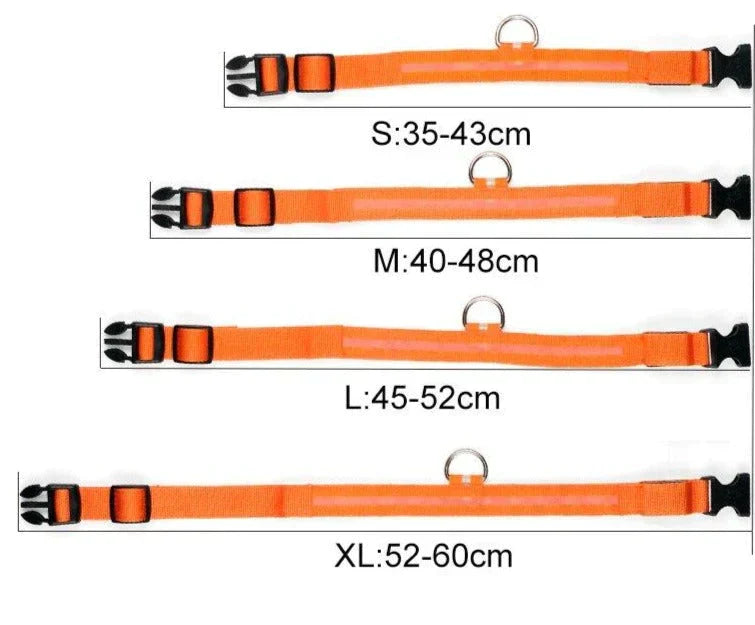 GlowPets LED Collar – Safety &amp; Visibility for Pets