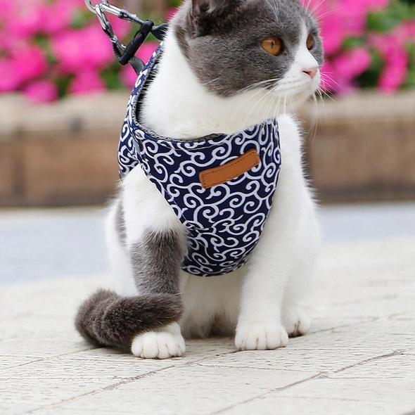 Collar jacket and leash for cat |