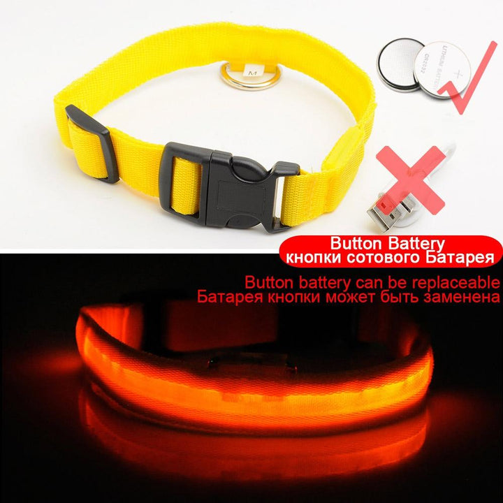 Light Up Dog Collar - Flashing Dog Collar