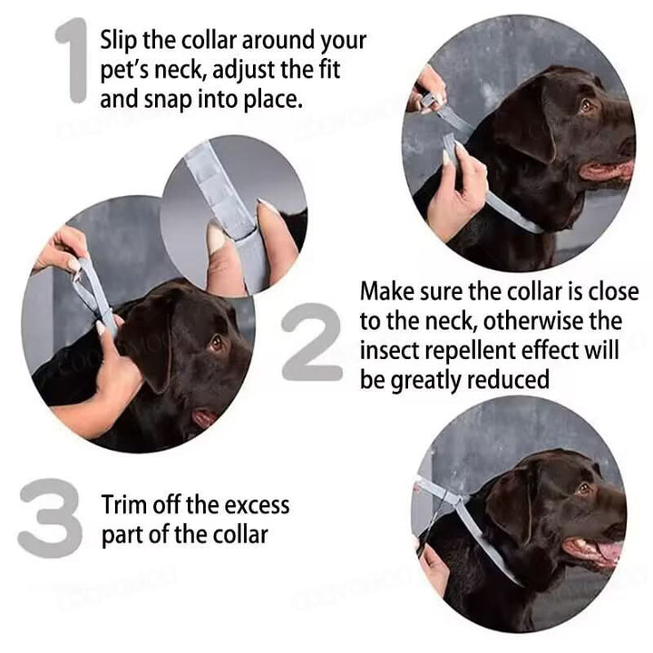 PAWTECT - Anti-tick and flea collar