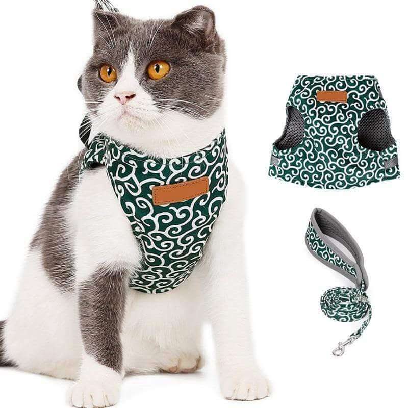 Cat harness vest for safety &amp; comfort