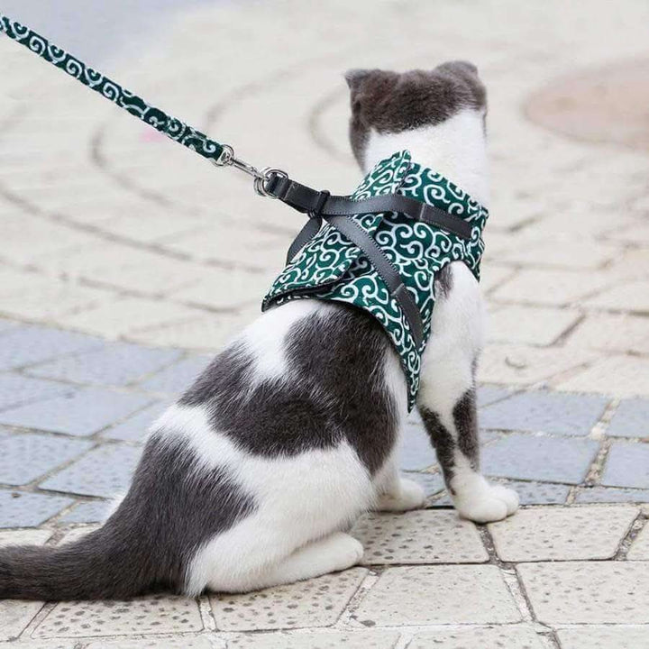 Cat harness vest for safety &amp; comfort