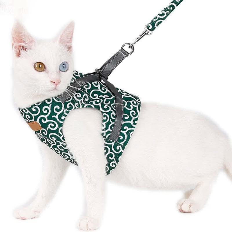 Cat harness vest for safety &amp; comfort