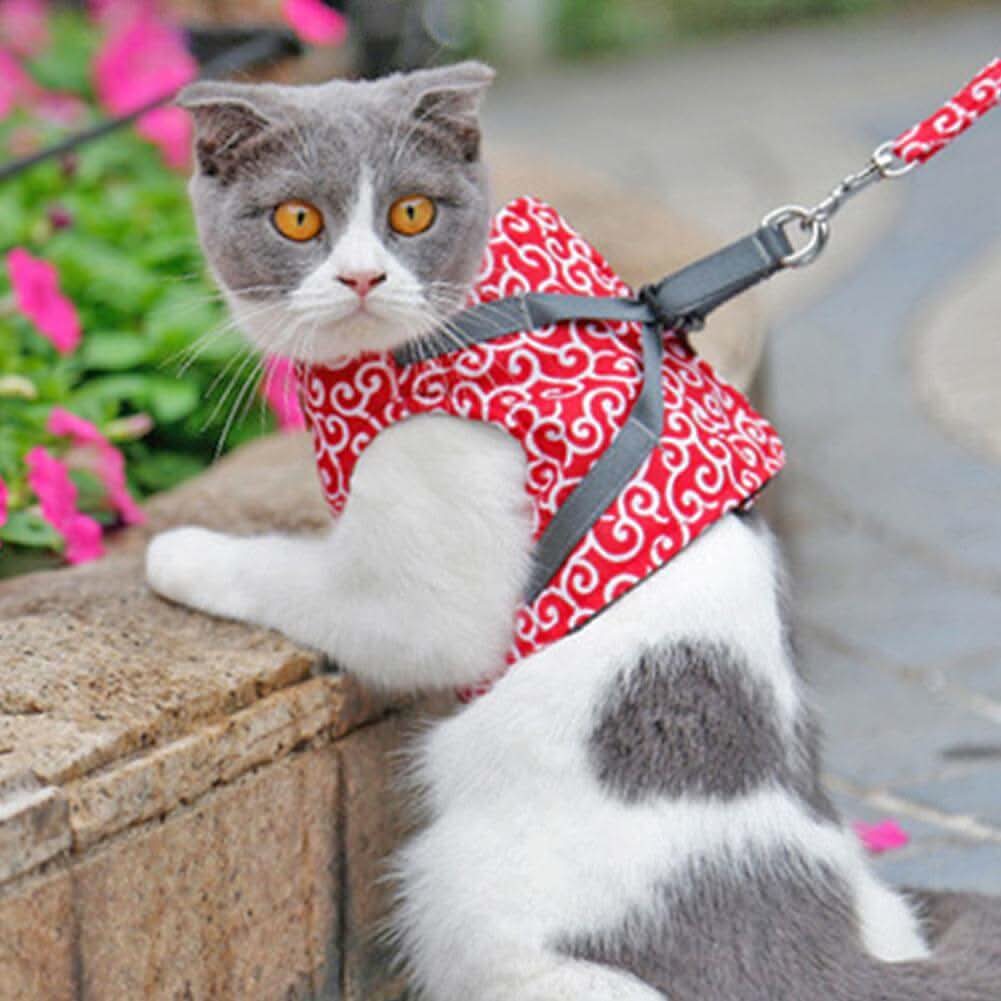 Cat harness vest for safety &amp; comfort