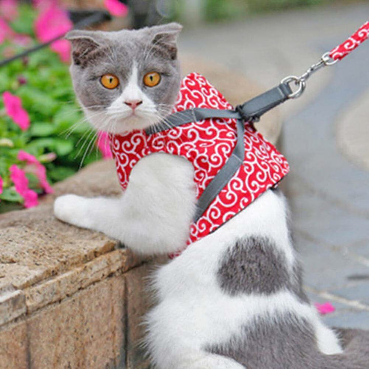 Cat harness vest for safety &amp; comfort