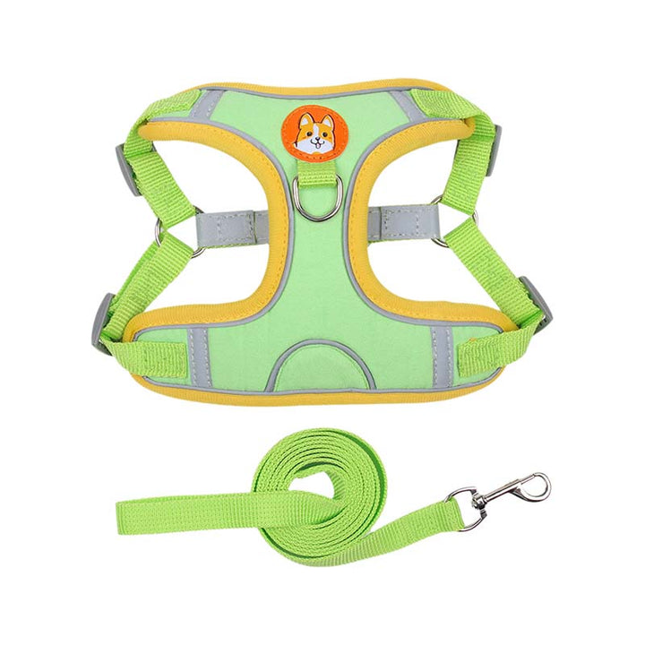 Reflective Pet Harness and Leash Set