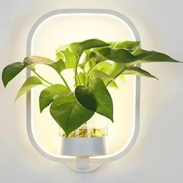 Luminaire Sconce - Plant Wall Light