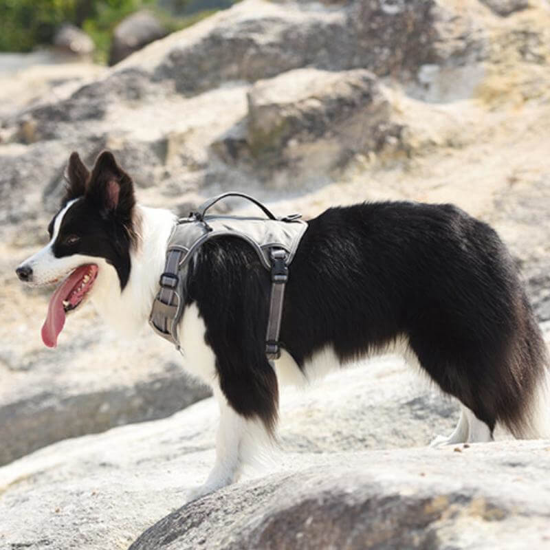 Multifunctional explosion-proof anti-pull harness for medium to large dogs harness