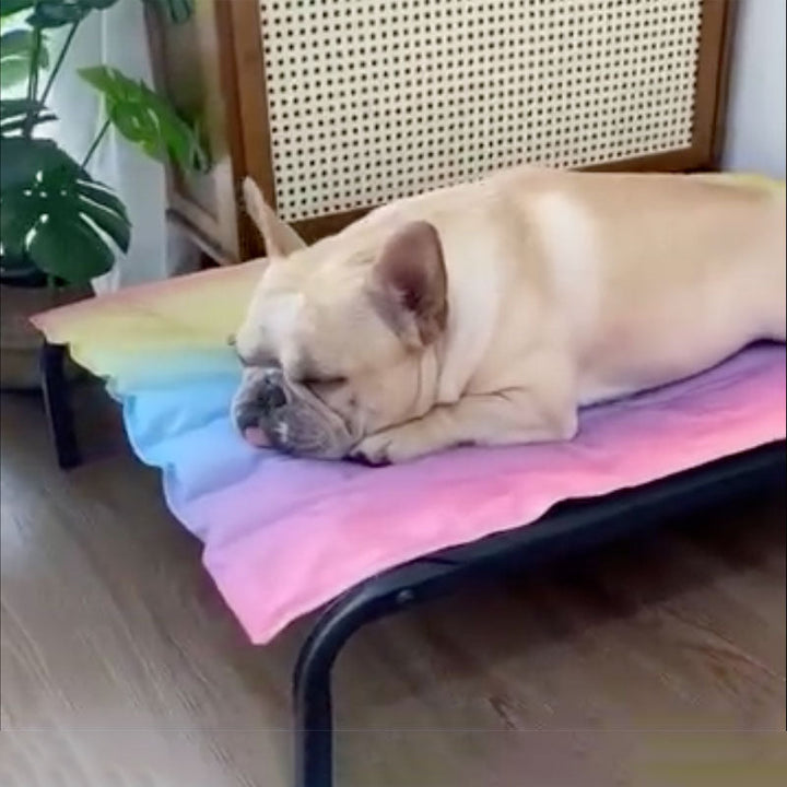 IcePup Frenchie Summer Cooling Mat with Advanced Ice Tech |