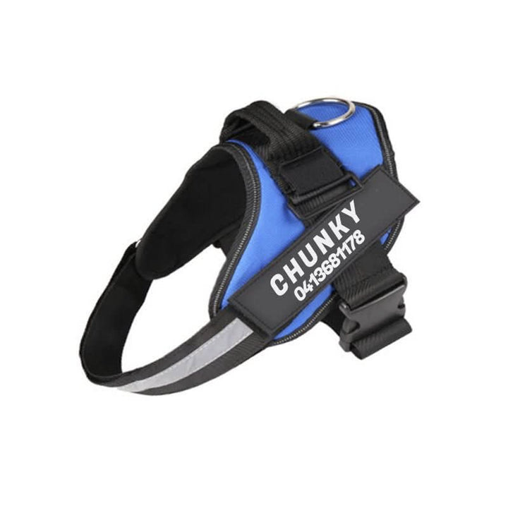 Personalisable dog harness for comfort &amp; safety