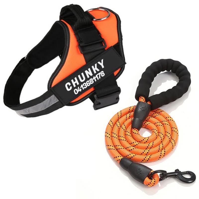 Personalisable dog harness for comfort &amp; safety