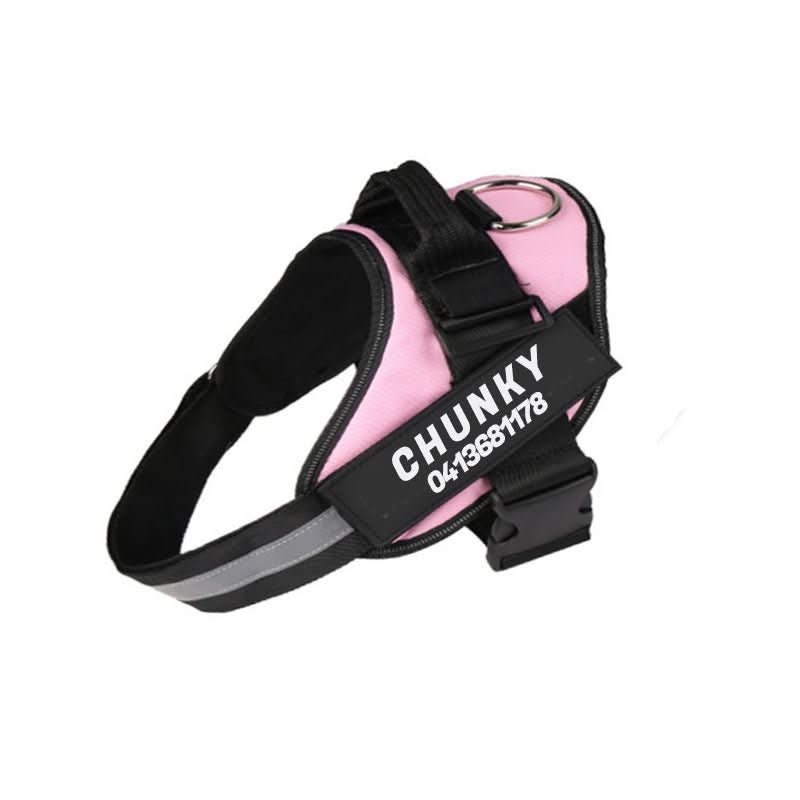 Personalisable dog harness for comfort &amp; safety