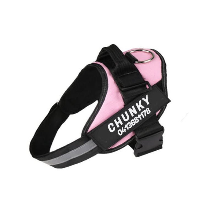 Personalisable dog harness for comfort &amp; safety