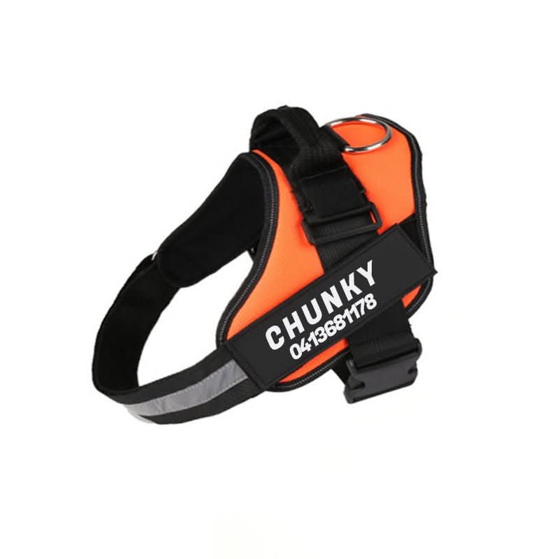 Personalisable dog harness for comfort &amp; safety
