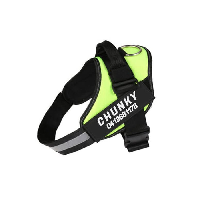 Personalisable dog harness for comfort &amp; safety