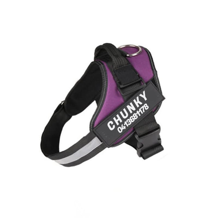 Personalisable dog harness for comfort &amp; safety
