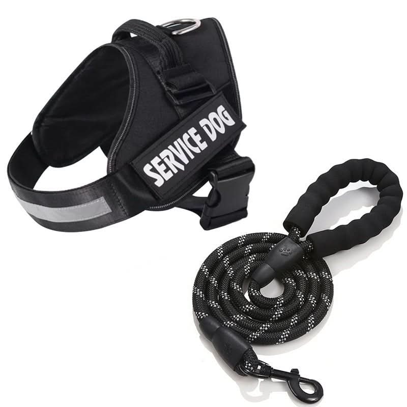 Personalisable dog harness for comfort &amp; safety