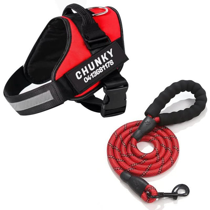 Personalisable dog harness for comfort &amp; safety