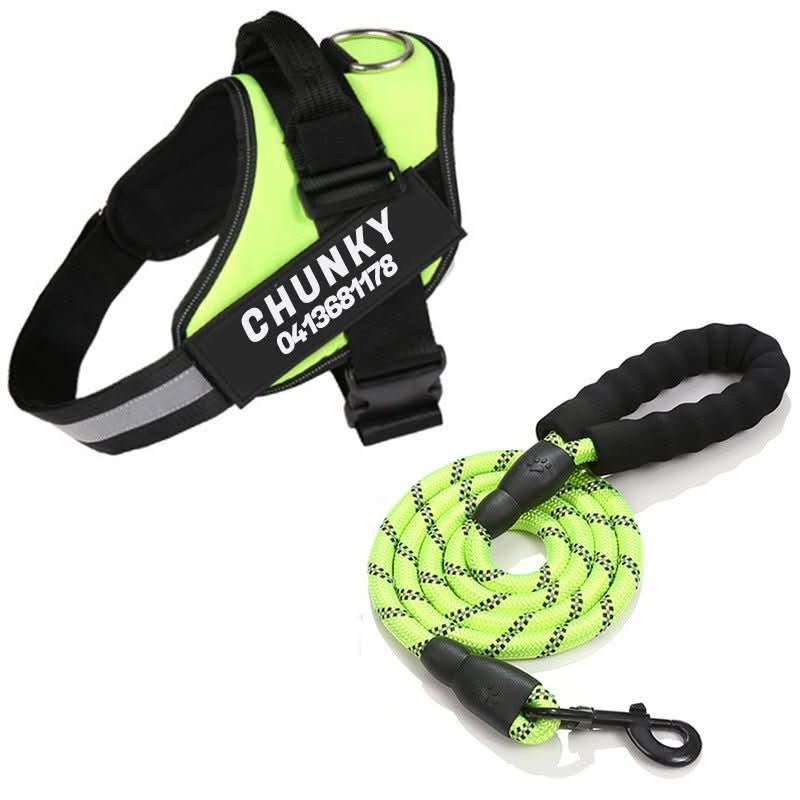 Personalisable dog harness for comfort &amp; safety
