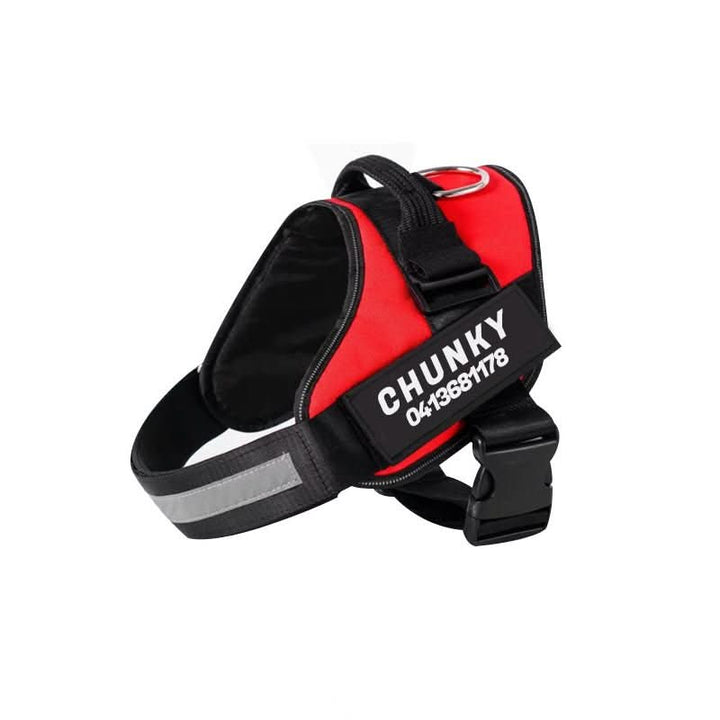 Personalisable dog harness for comfort &amp; safety