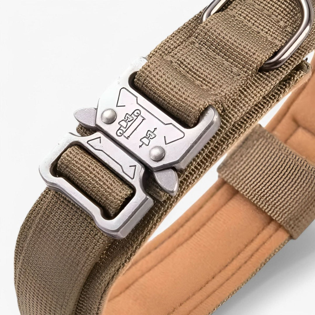 Durable &amp; Adjustable Collar for Training &amp; Everyday Use