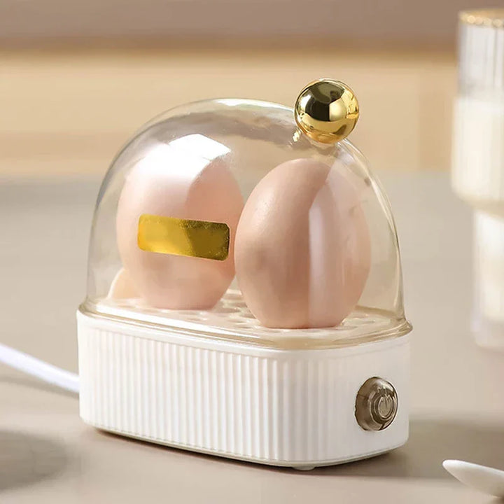 120W 220V Electric Egg Cooker &amp; Egg Poacher - Automatic Mini Breakfast Machine for 2 Eggs, Portable Steamer