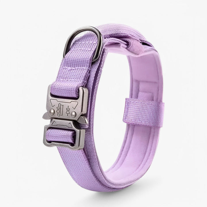 OutdoorHeld Dog Collar – For active dogs with endurance