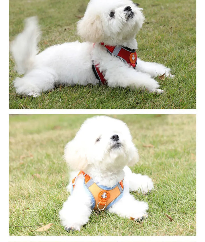 Breathable dog harness adjustable &amp; comfortable