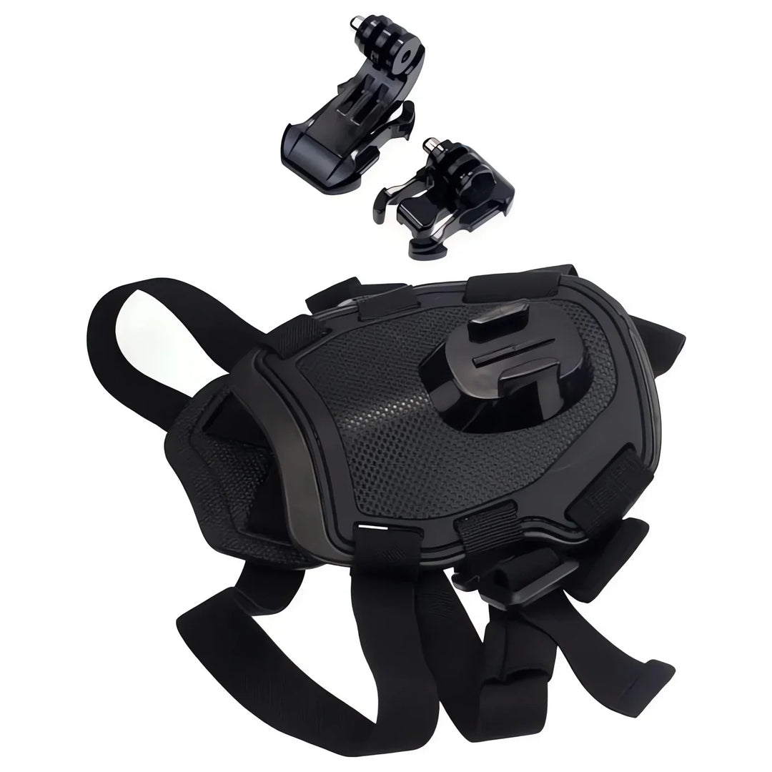 Action-Cam Dog Harness with 360° Perspective
