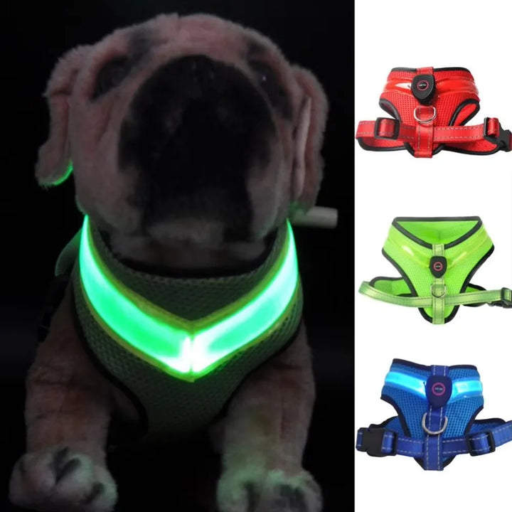 LED Dog Harness USB rechargeable &amp; adjustable