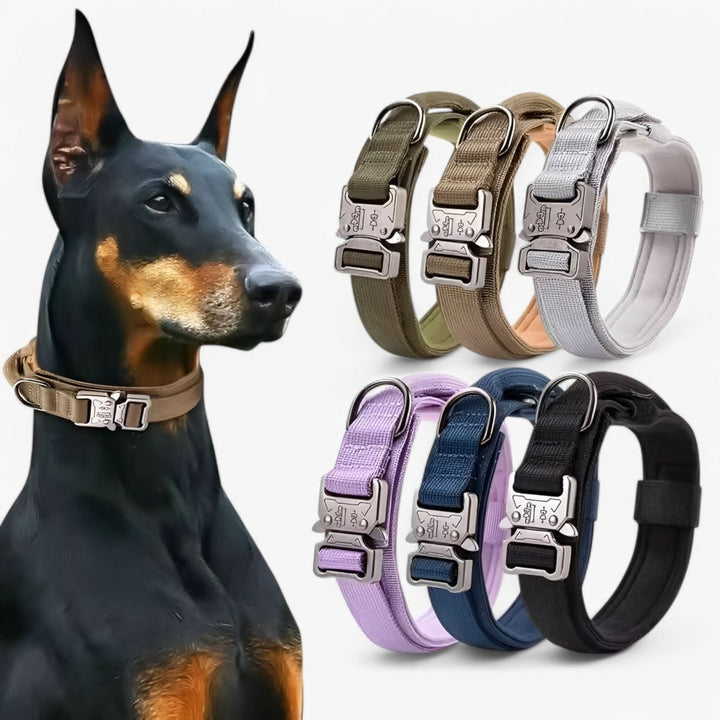 Durable &amp; Adjustable Collar for Training &amp; Everyday Use