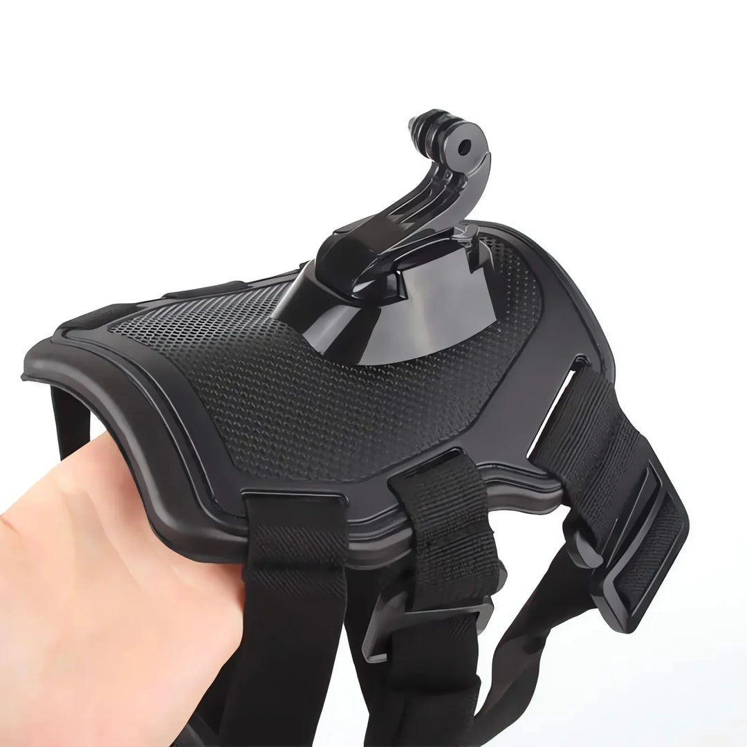 Action-Cam Dog Harness with 360° Perspective