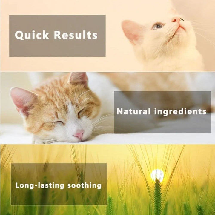Flea &amp; Tick Protection Collar for Dogs &amp; Cats