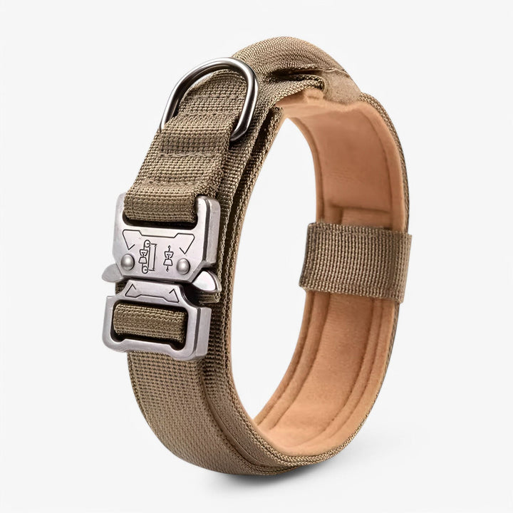 OutdoorHeld Dog Collar – For active dogs with endurance