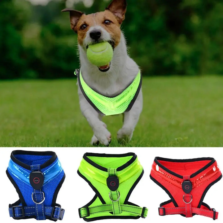 LED Dog Harness USB rechargeable &amp; adjustable